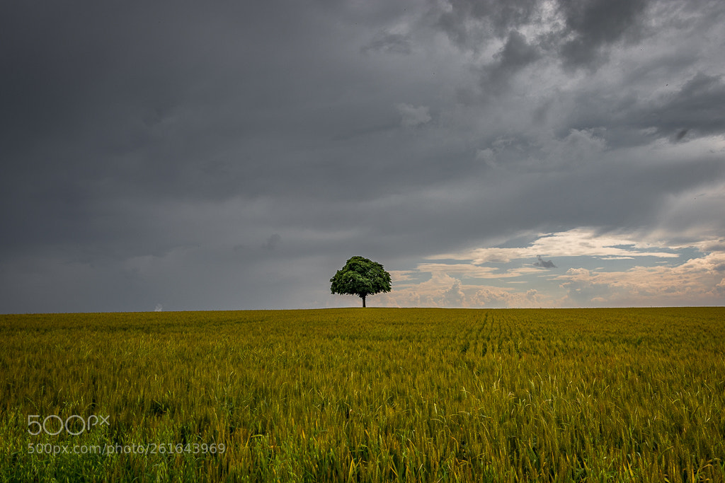 Canon EOS 7D Mark II sample photo. Orage à venir photography