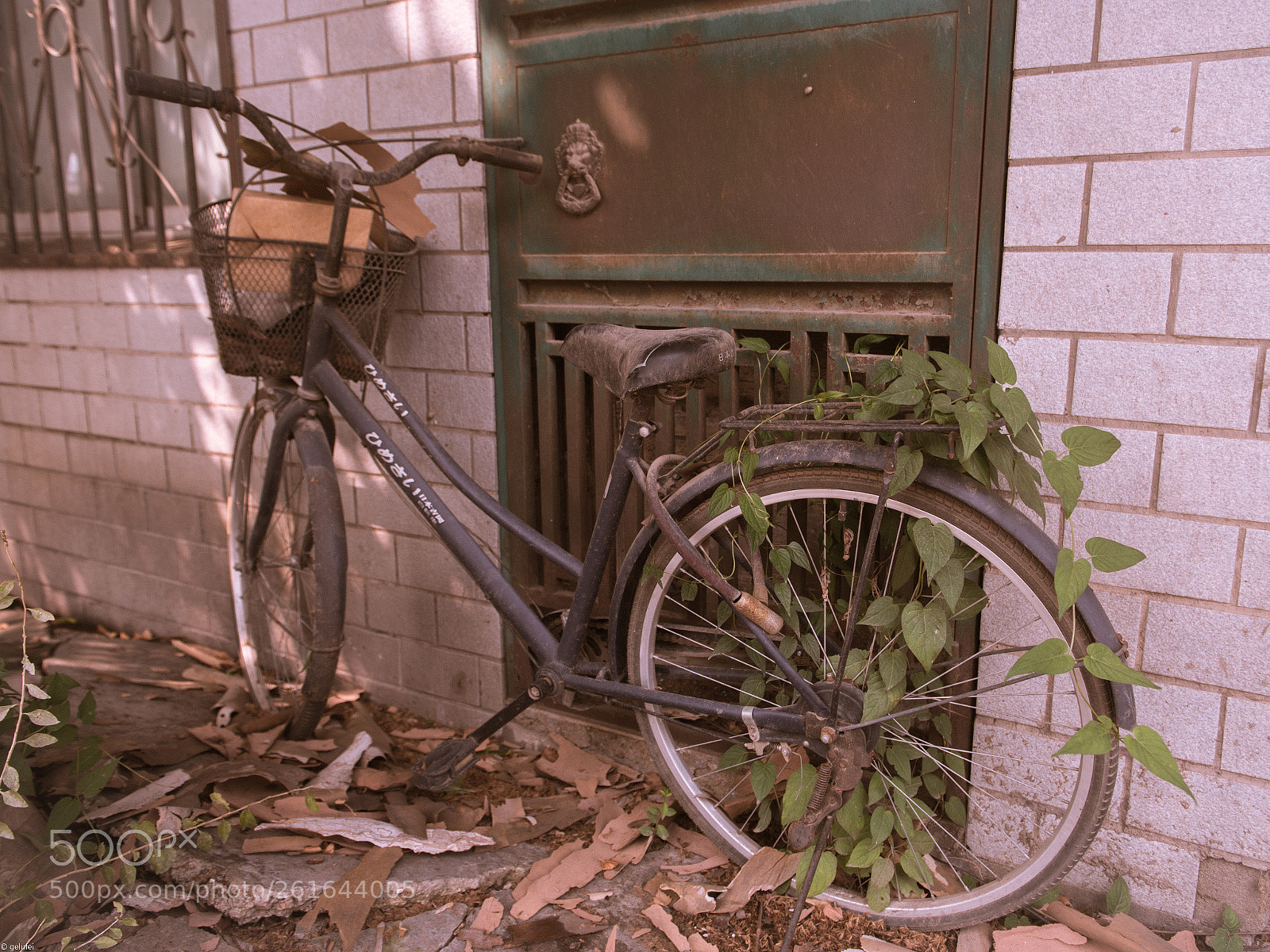 Nikon D750 sample photo. Old photo stely photography