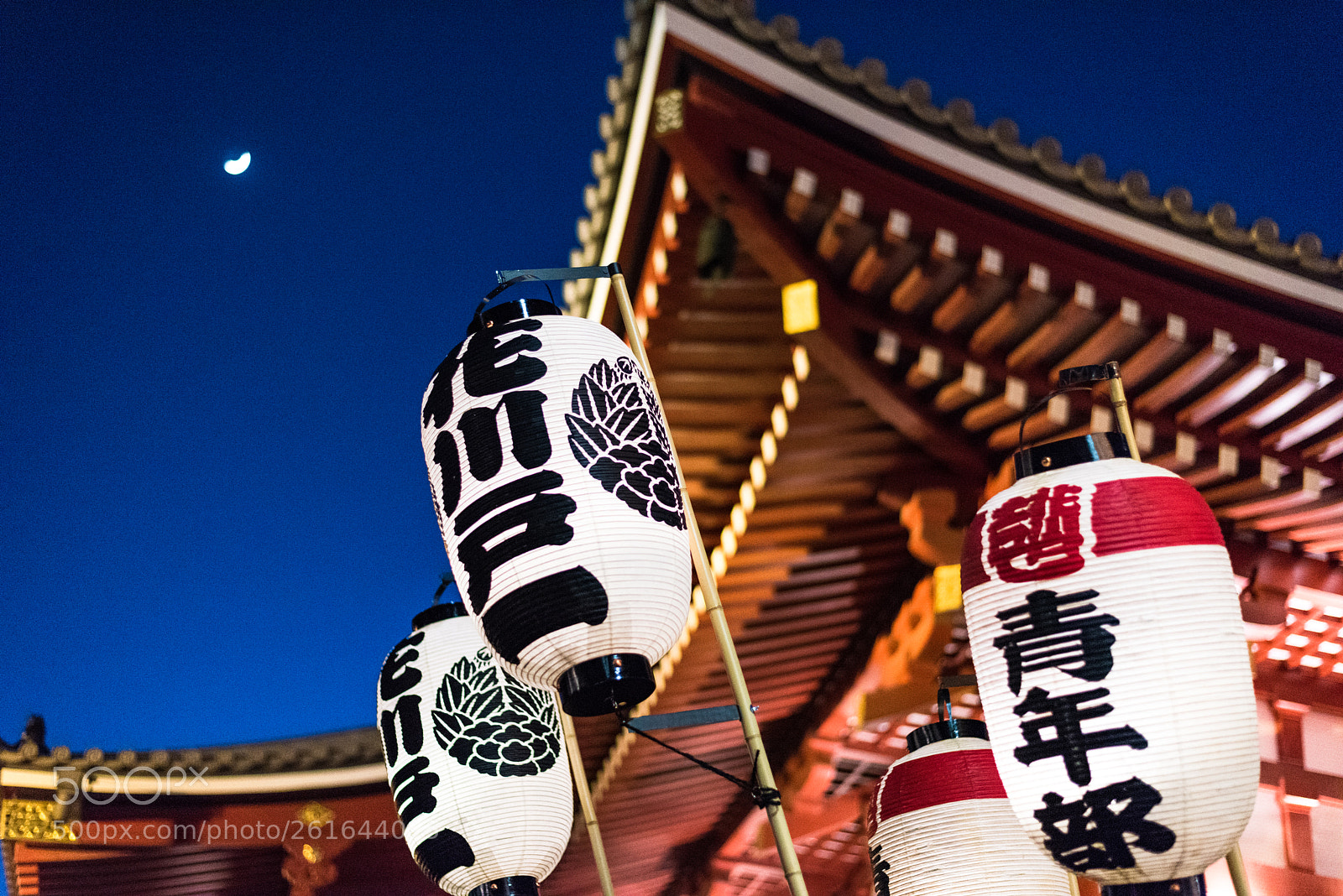 Nikon D810 sample photo. Famous temple in japan photography