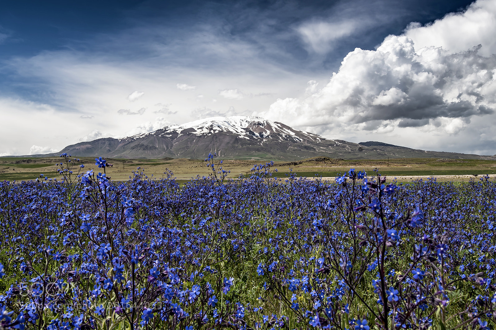 Nikon D750 sample photo. Mount süphan photography