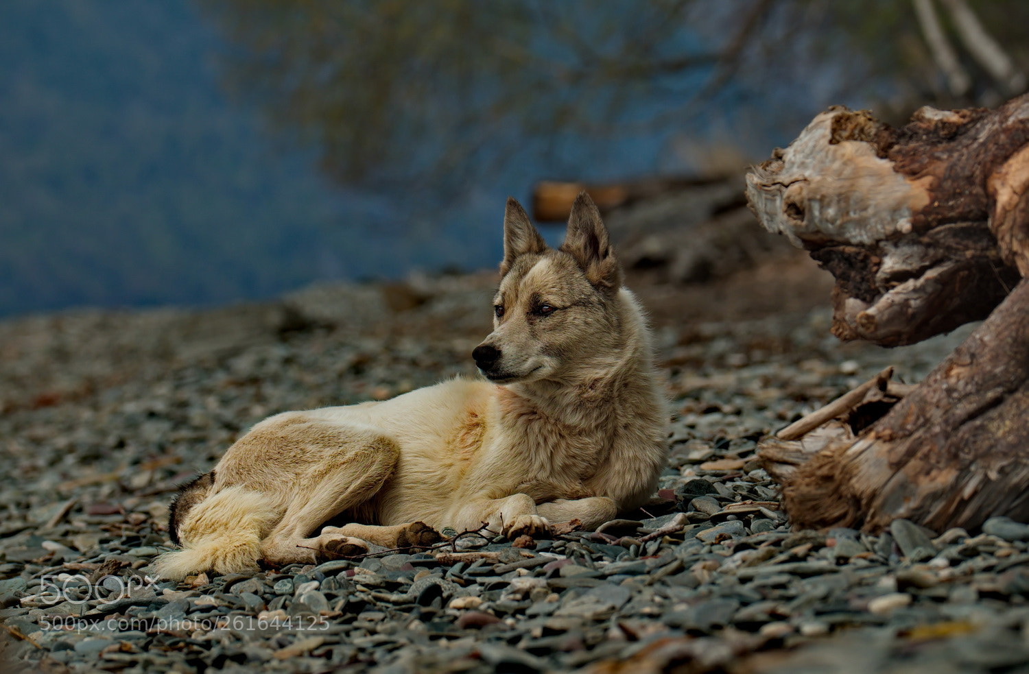 Fujifilm X-T1 sample photo. *** photography