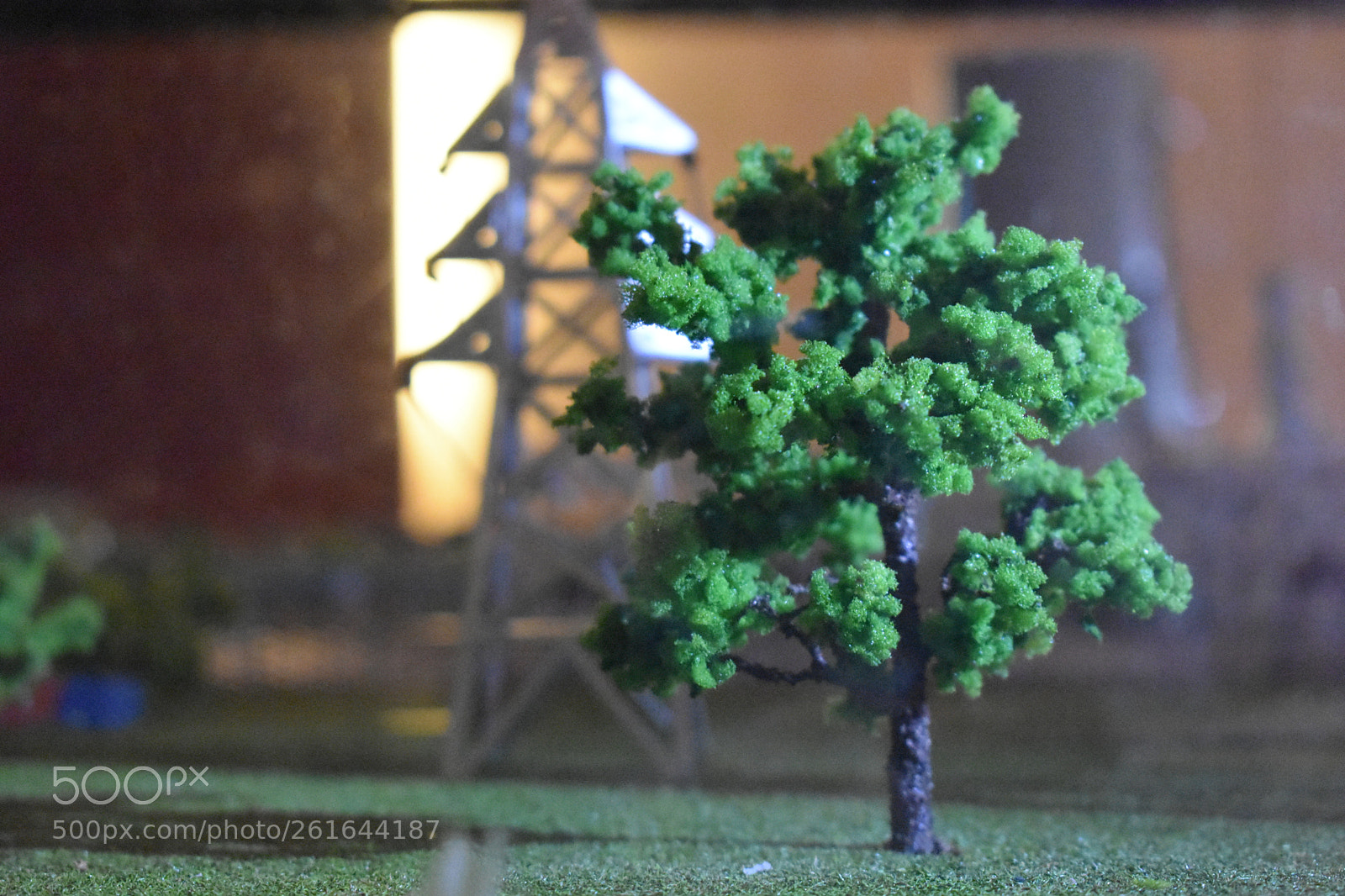 Nikon D3400 sample photo. Tree art photography