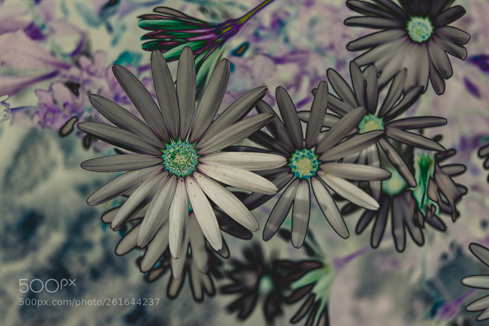 Nikon D7100 sample photo. Some photography