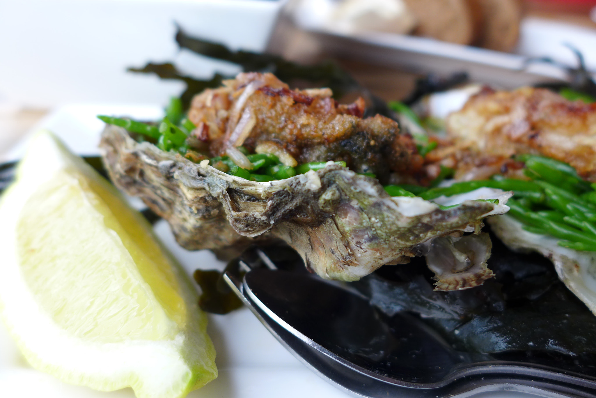 Leica D-Lux 6 sample photo. Taste&travel dutch treat seafood photography