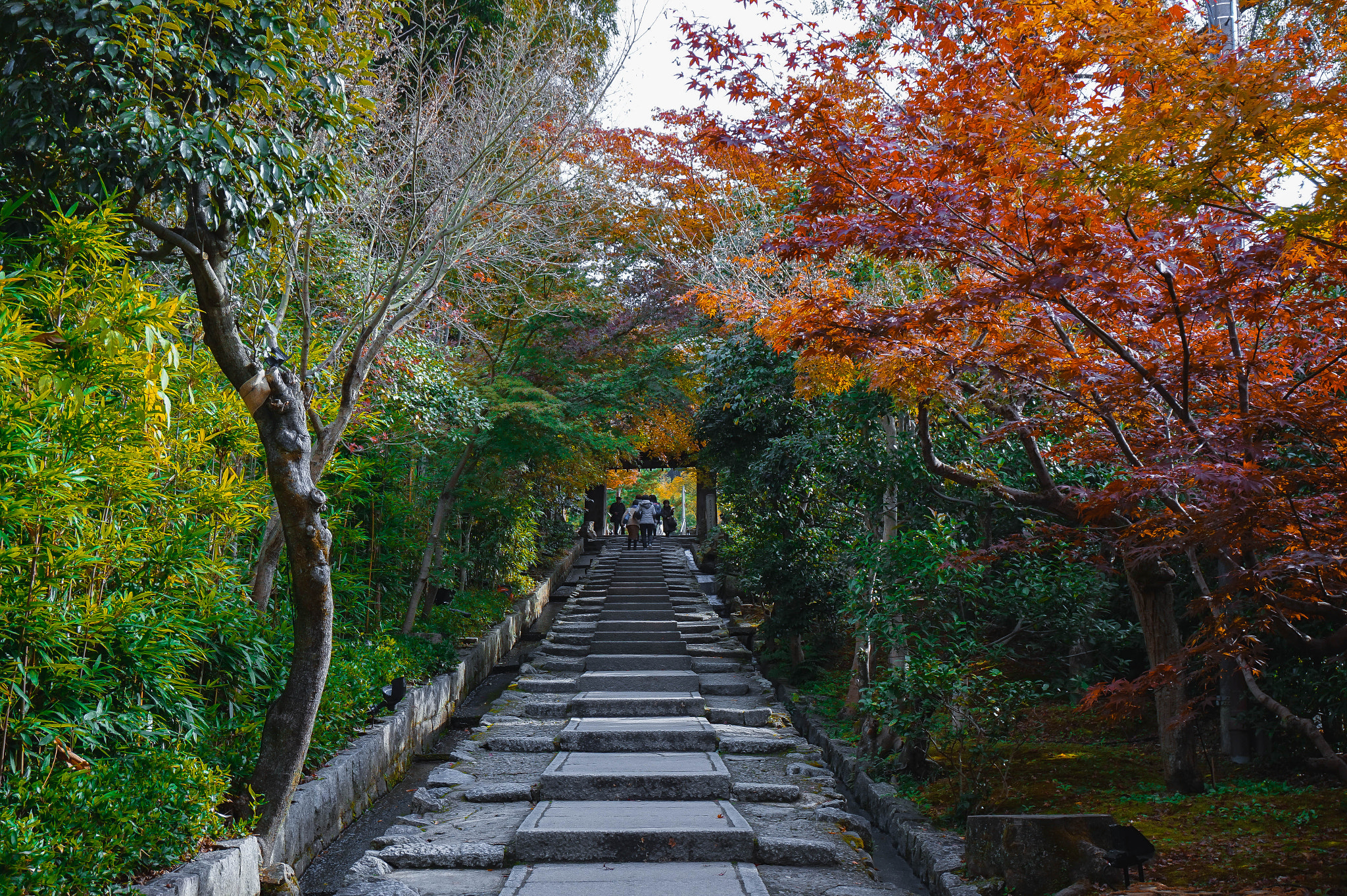 Sony Alpha a5000 (ILCE 5000) sample photo. Spring x autumn photography