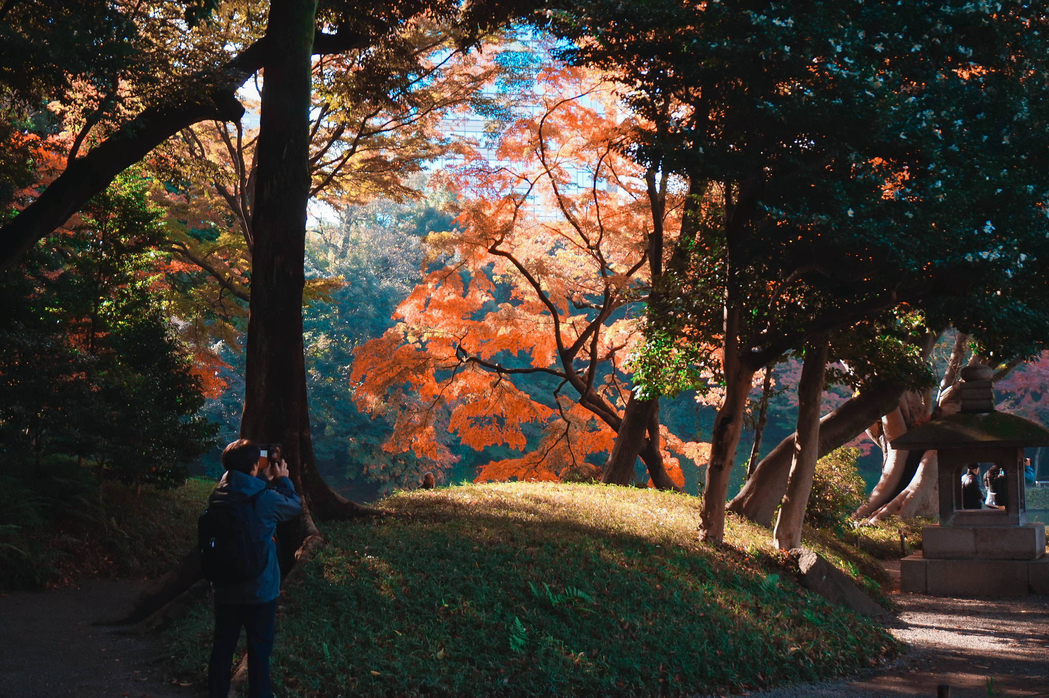 Sony Alpha a5000 (ILCE 5000) sample photo. A blissful autumn photography