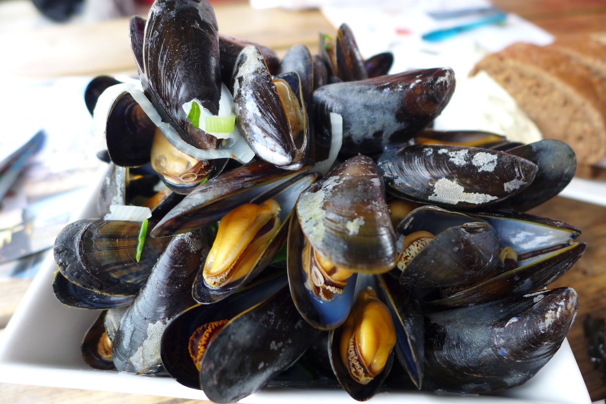 Leica D-Lux 6 sample photo. Taste&travel dutch treat seafood photography