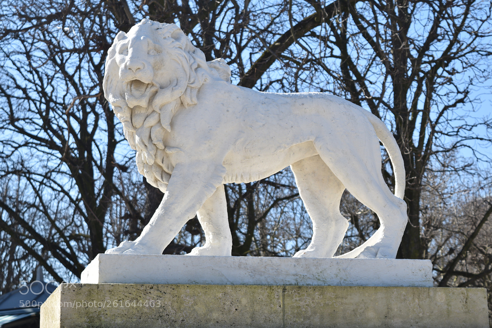 Nikon D5500 sample photo. Untitled photography