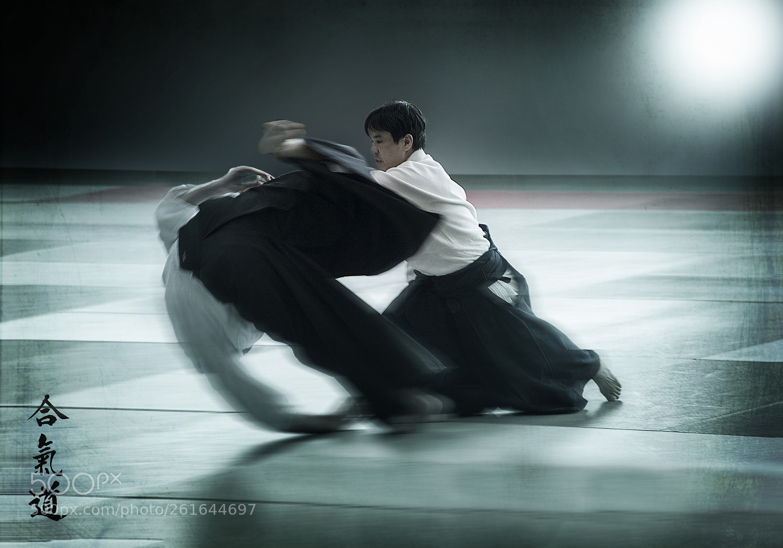 Nikon D800 sample photo. Aikido photography
