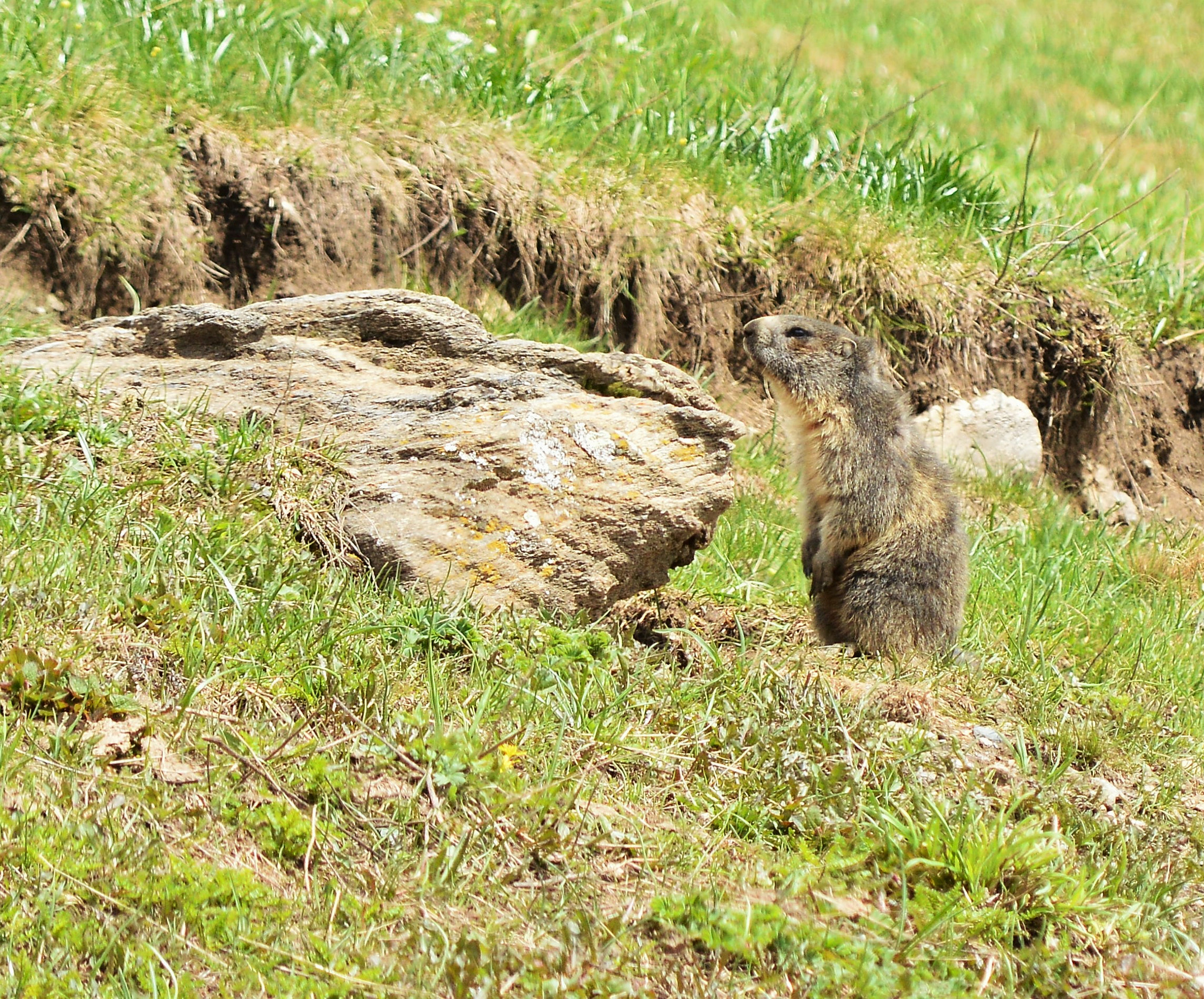 Nikon D3200 sample photo