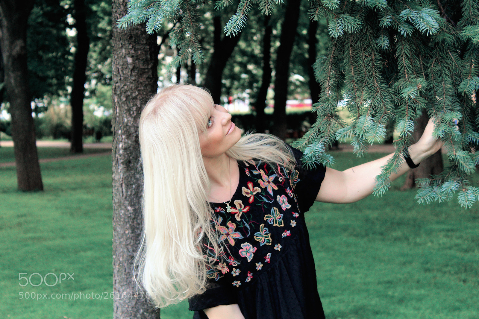 Canon EOS 1200D (EOS Rebel T5 / EOS Kiss X70 / EOS Hi) sample photo. Pushka art photography