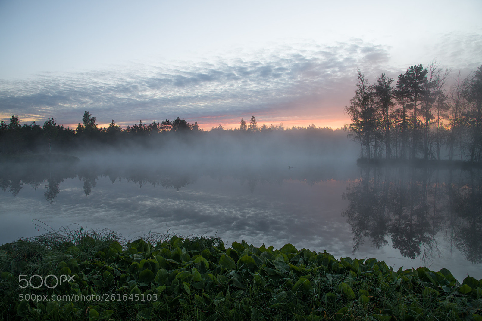 Nikon D800 sample photo. Early morning photography