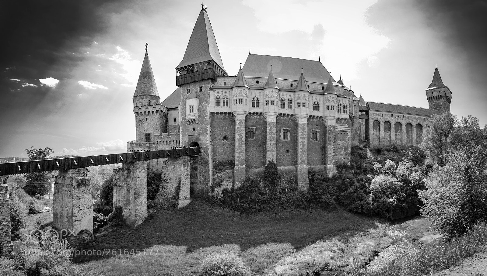 Nikon D5100 sample photo. Corvin castle photography