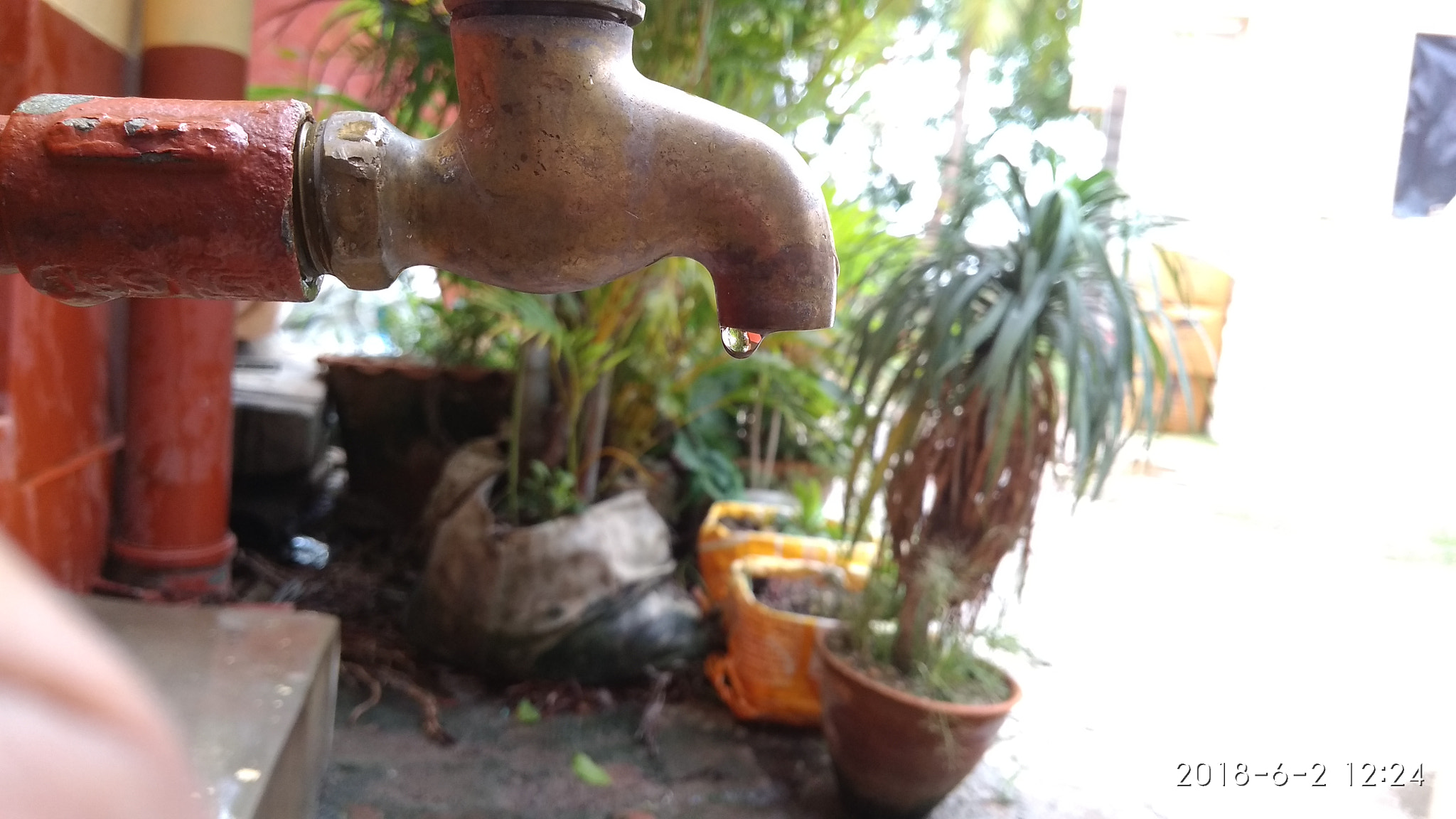 Xiaomi Redmi 4A sample photo
