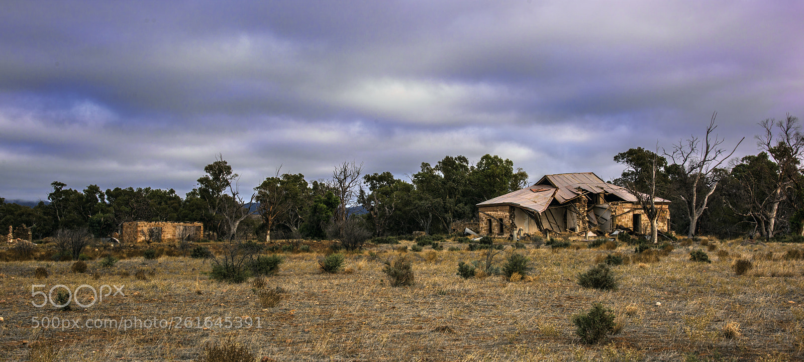 Nikon D810 sample photo. Settlers ruins near wilmington,flinders photography