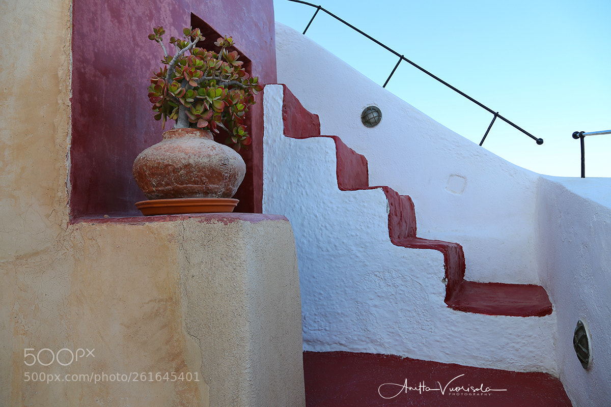 Canon EOS 6D sample photo. Lines oia photography