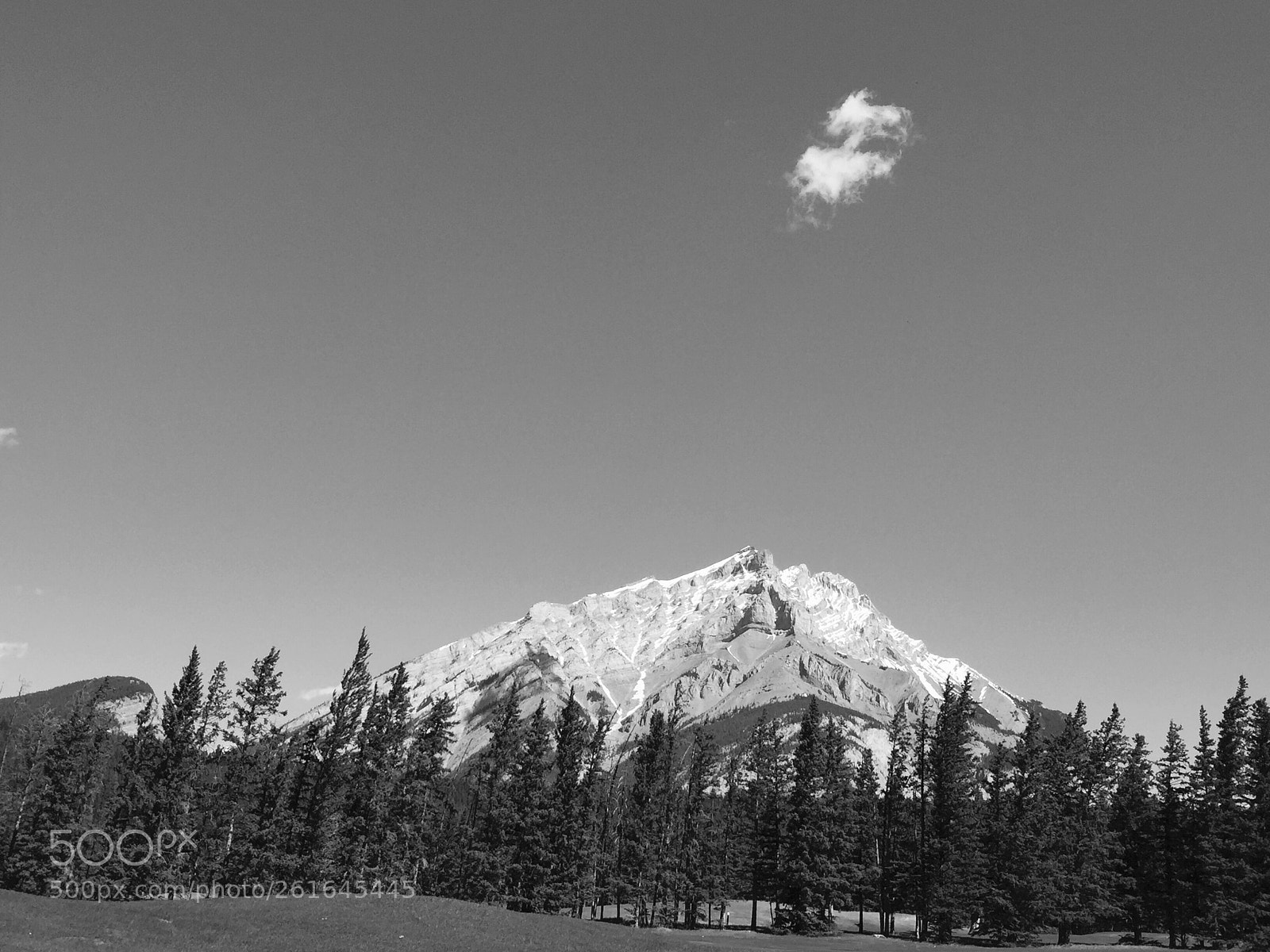 Apple iPhone 6 sample photo. Cherry on top photography