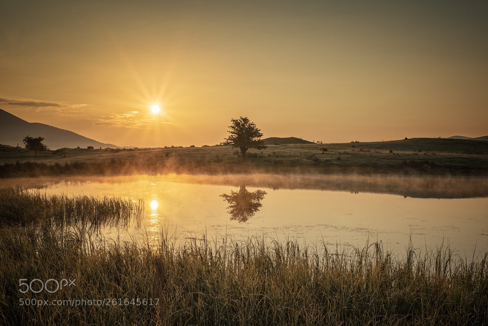 Nikon D810 sample photo. Tranquility at tewet tarn photography