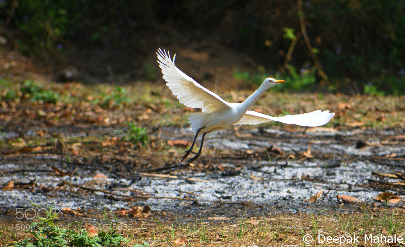 Nikon D3400 sample photo. Take off... photography