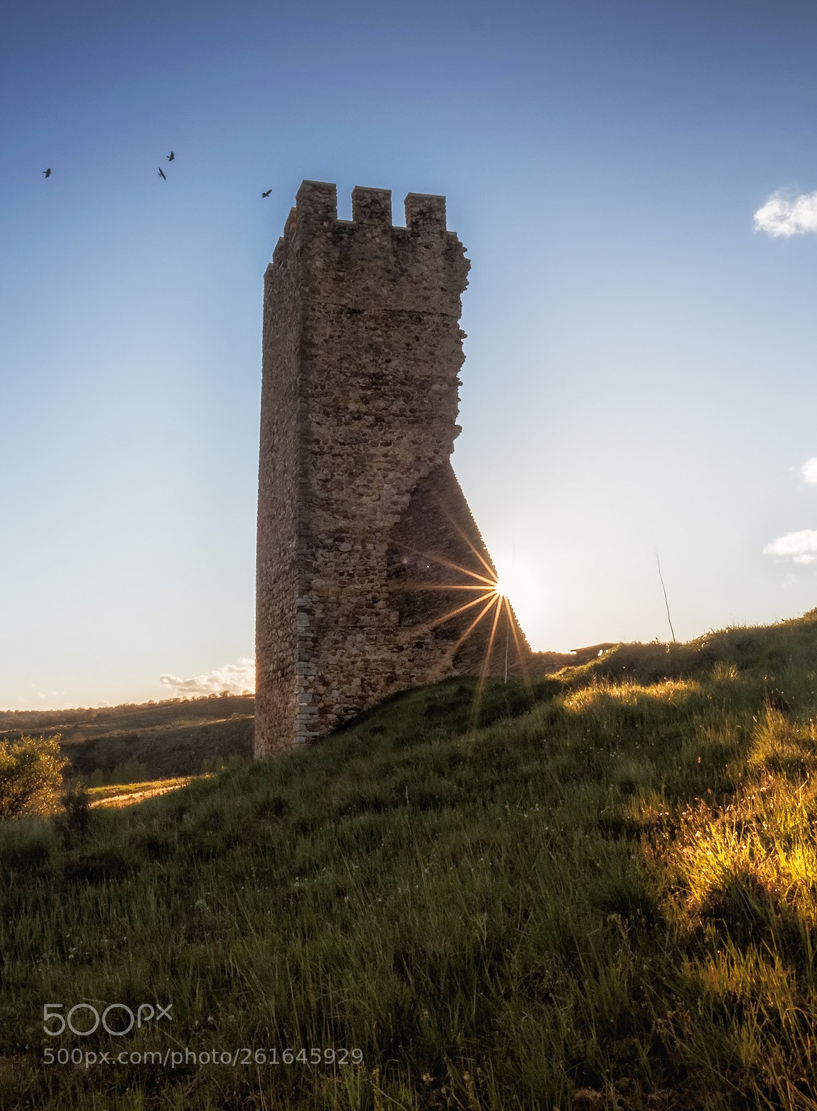 Olympus OM-D E-M1 Mark II sample photo. La torre photography