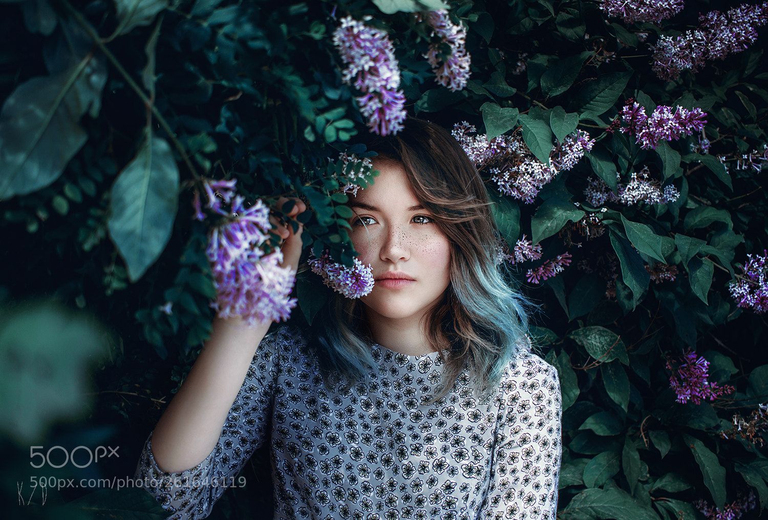 Canon EOS 60D sample photo. Purple lilac photography