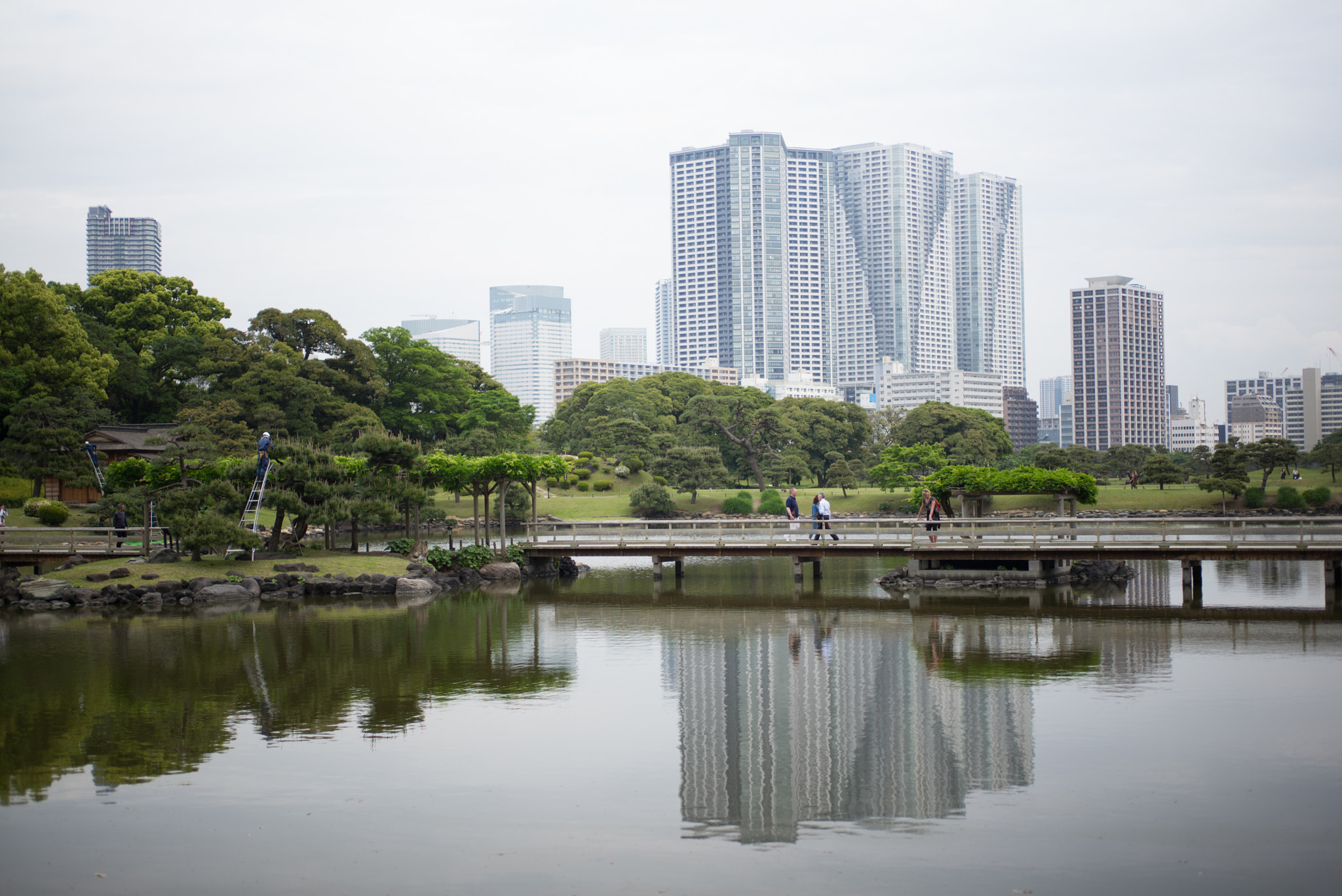 Leica M (Typ 262) sample photo. Tokyo photography