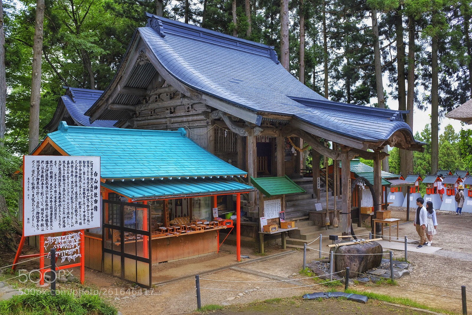 Fujifilm X100F sample photo. Green roof photography