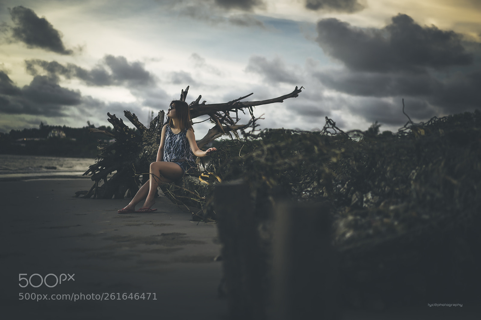 Sony a7 II sample photo. Bb photography