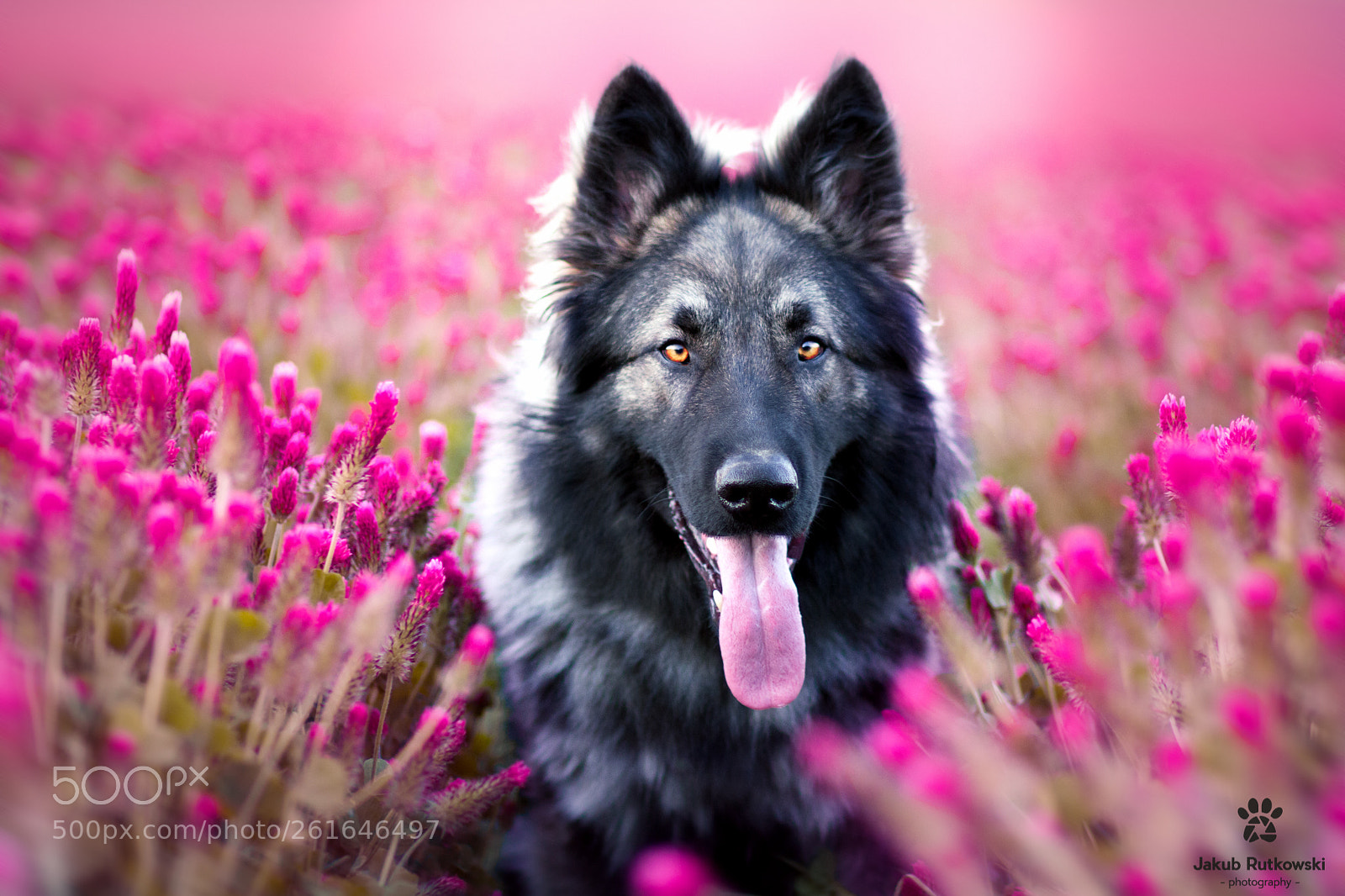 Canon EOS 7D sample photo. Wonderful boy photography