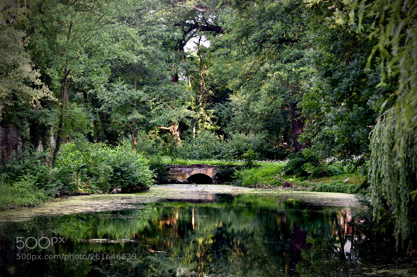Nikon D7200 sample photo. Schlosspark harbke photography