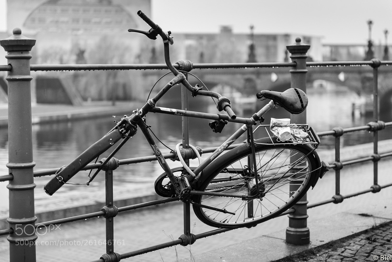 Nikon D610 sample photo. Missing piece photography