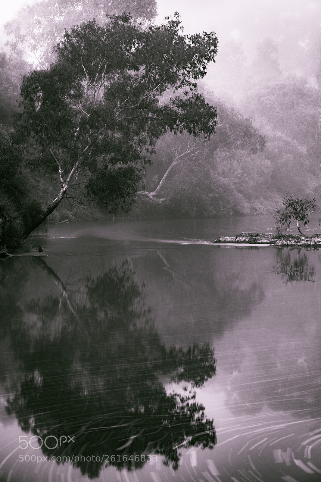 Canon EOS 5D Mark IV sample photo. Foggy reflections photography