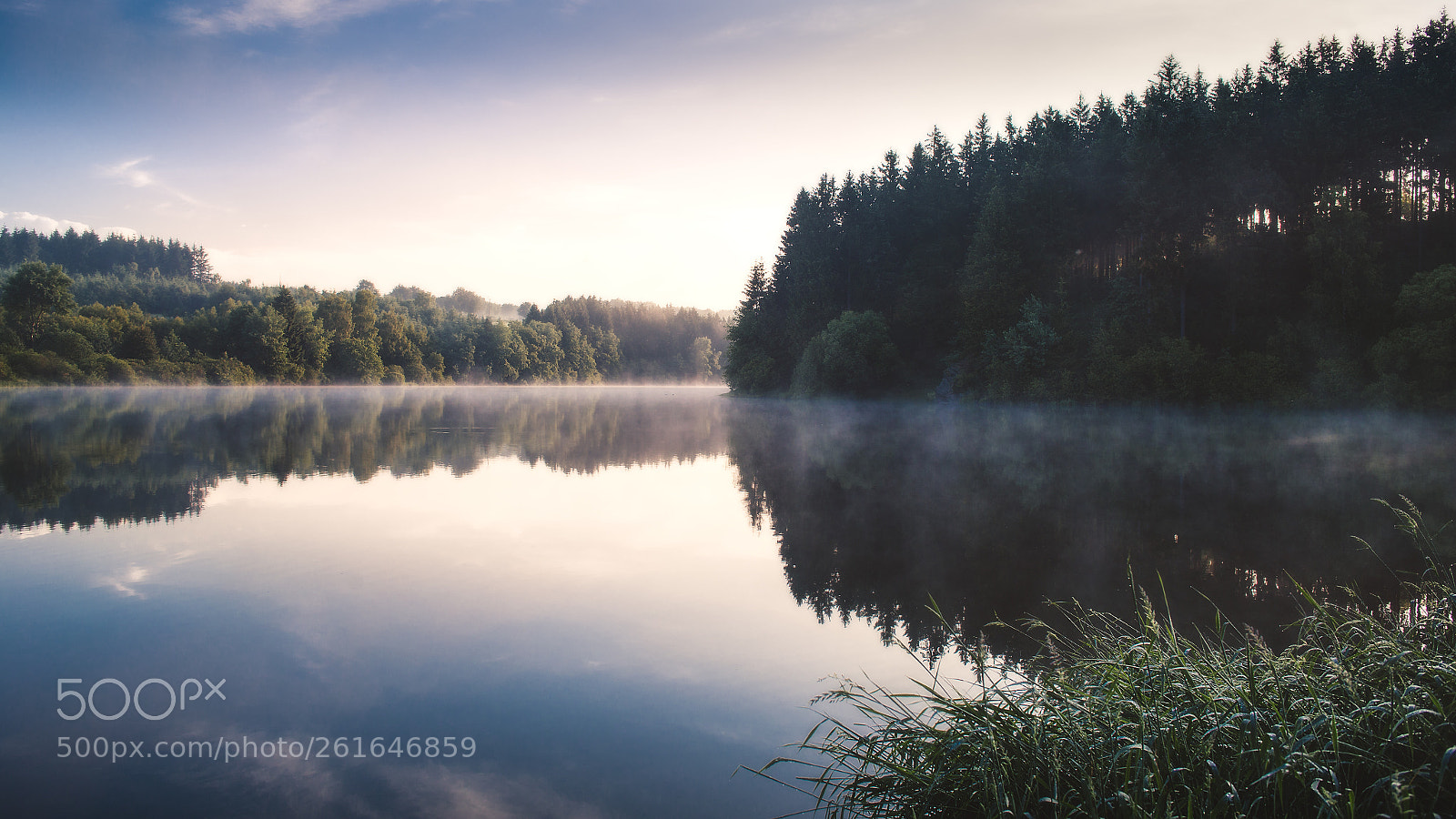 Canon EOS 6D sample photo. Misty morning photography