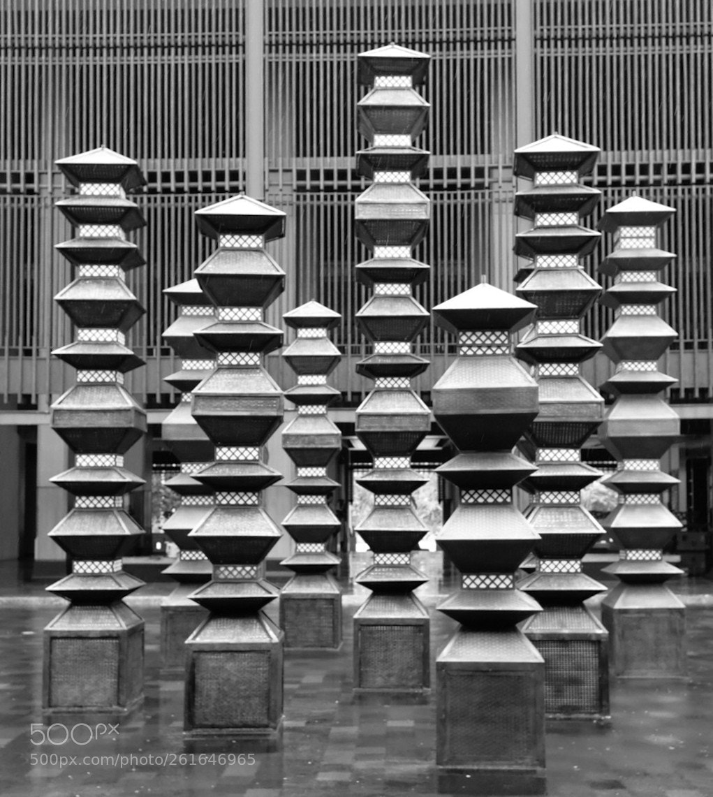 Fujifilm X100F sample photo. The focal objects photography
