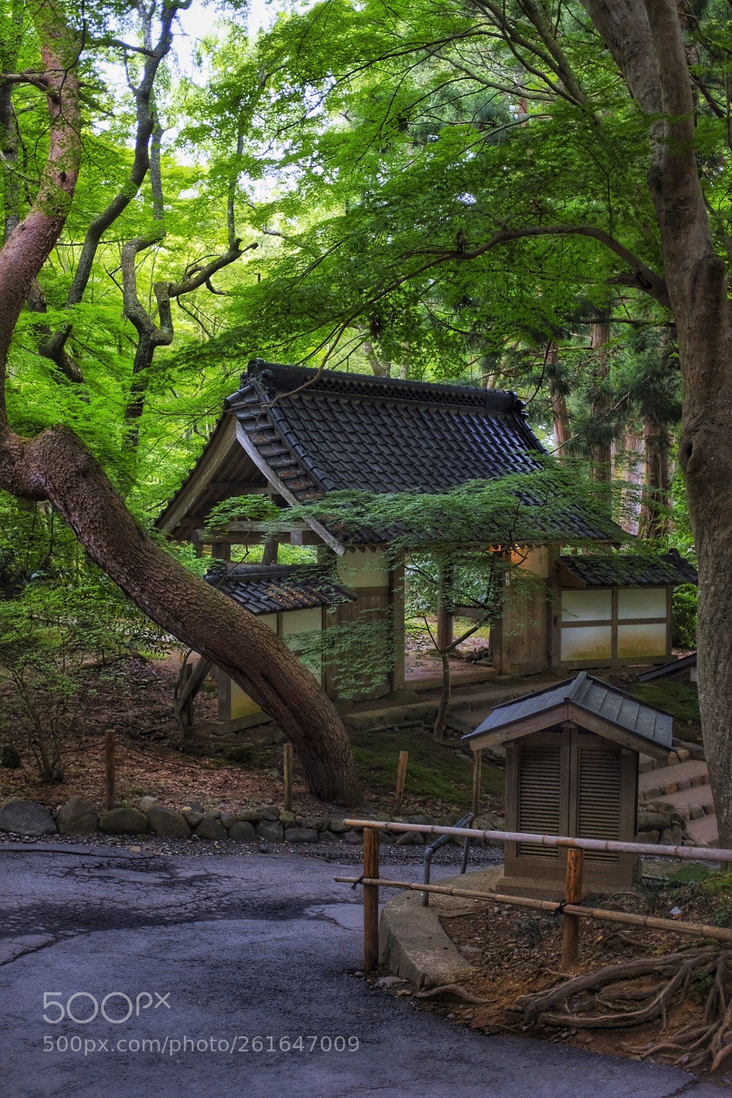 Fujifilm X100F sample photo. Peaceful green photography
