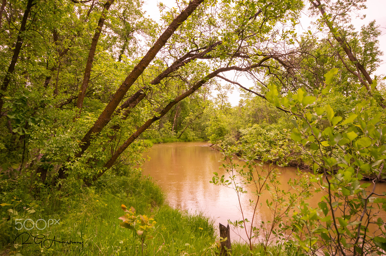 Pentax K-3 II sample photo. Peaceful river photography