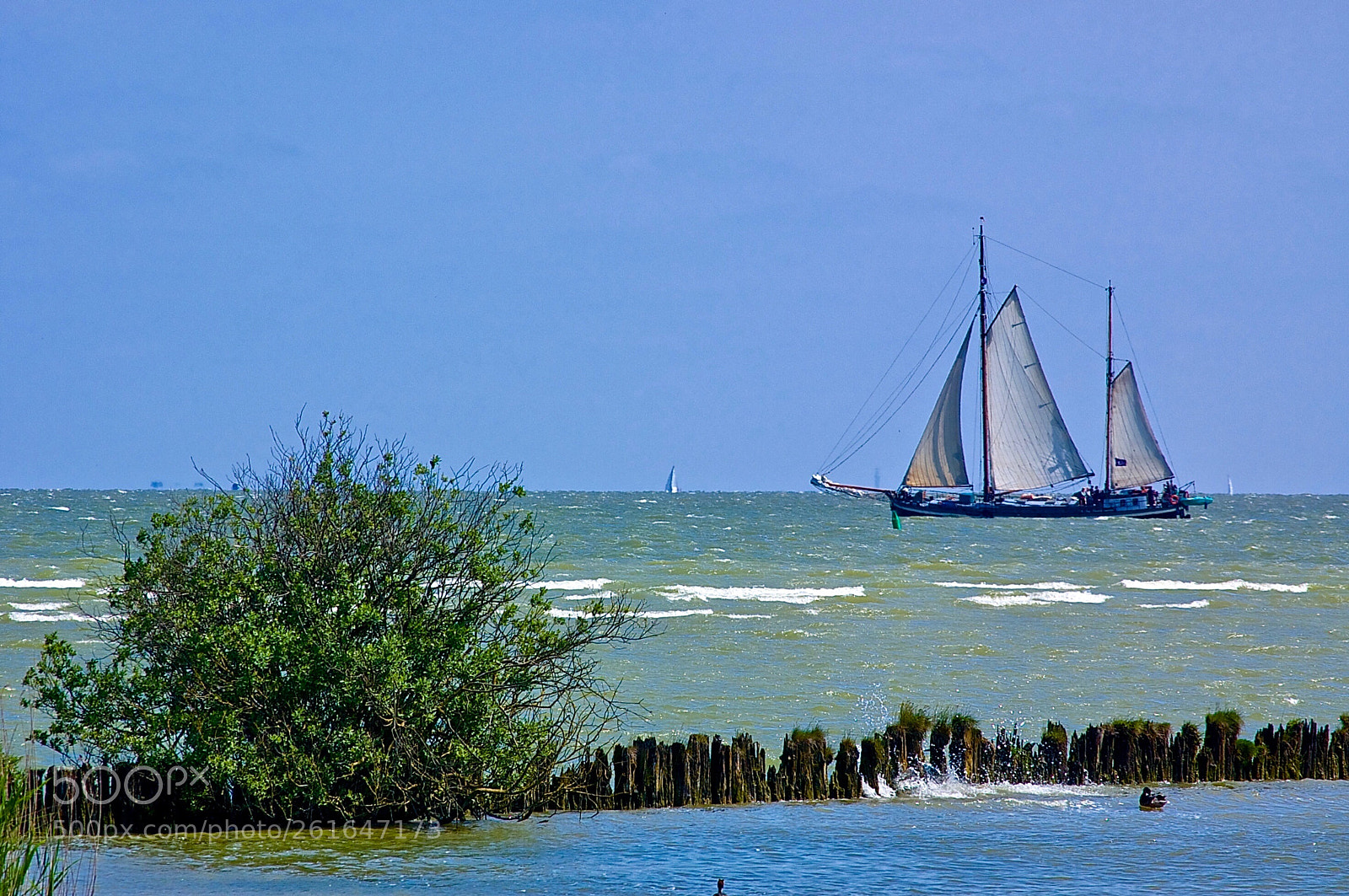 Nikon D50 sample photo. Shoreline photography