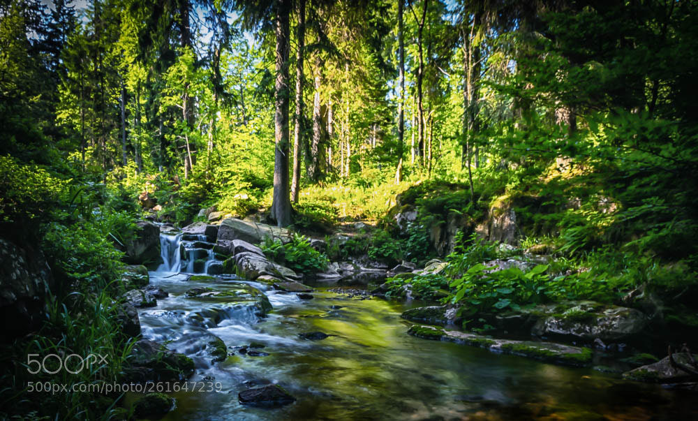 Nikon D750 sample photo. Lille vandfald, wamme bode photography