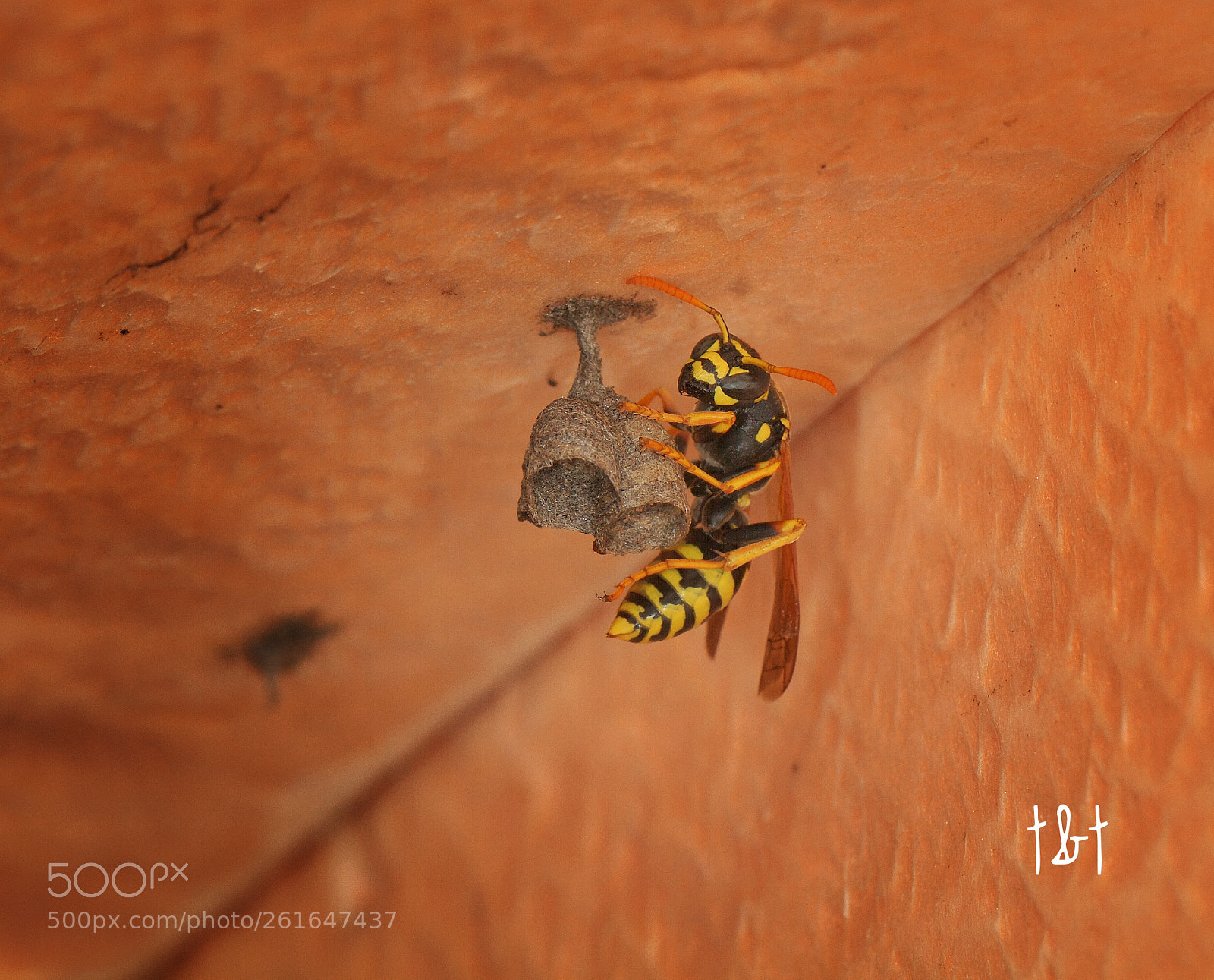 Canon EOS 7D sample photo. Untitled photography