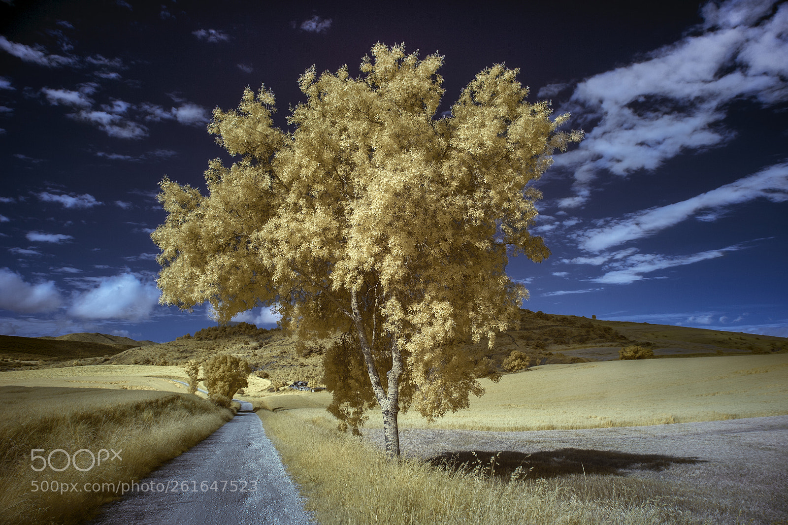 Canon EOS 5D sample photo. Aranguren valley photography