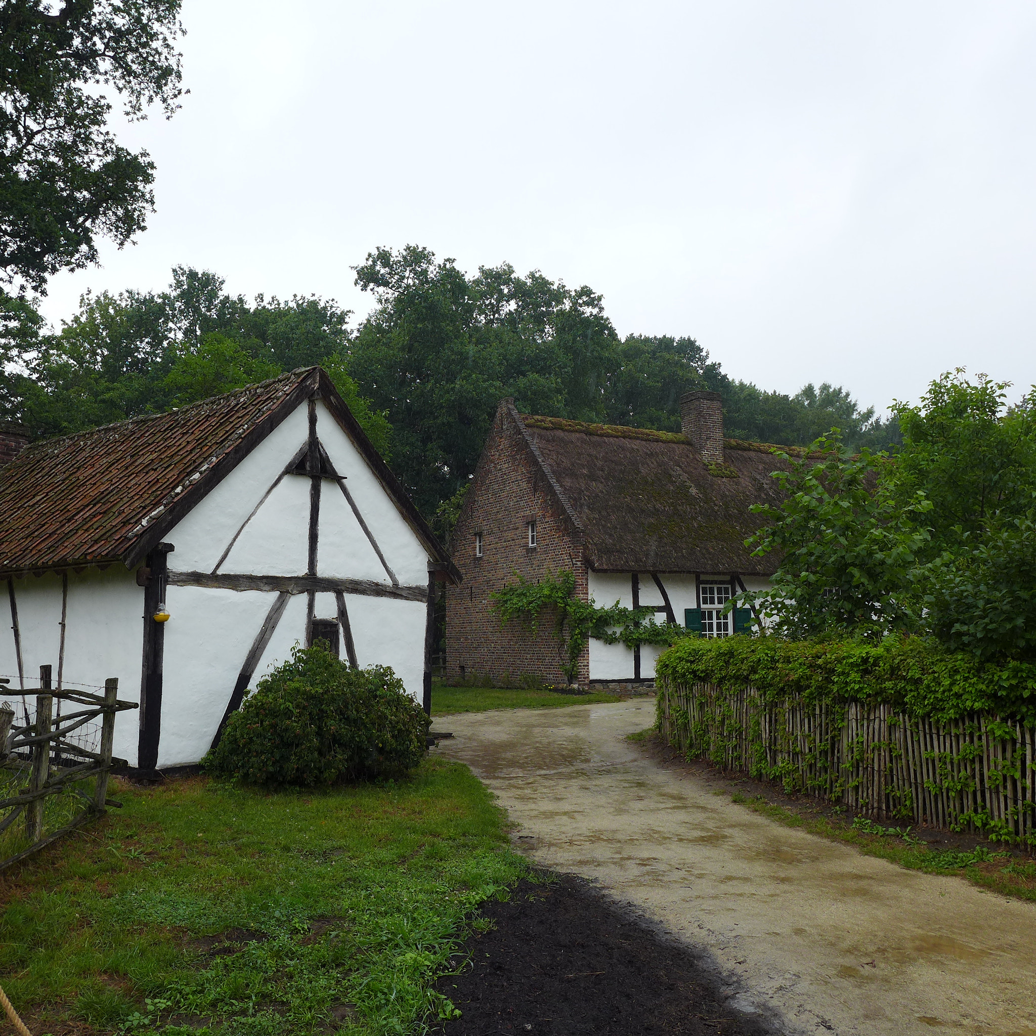 Leica D-Lux 6 sample photo. Marvelous dutch landschapes photography