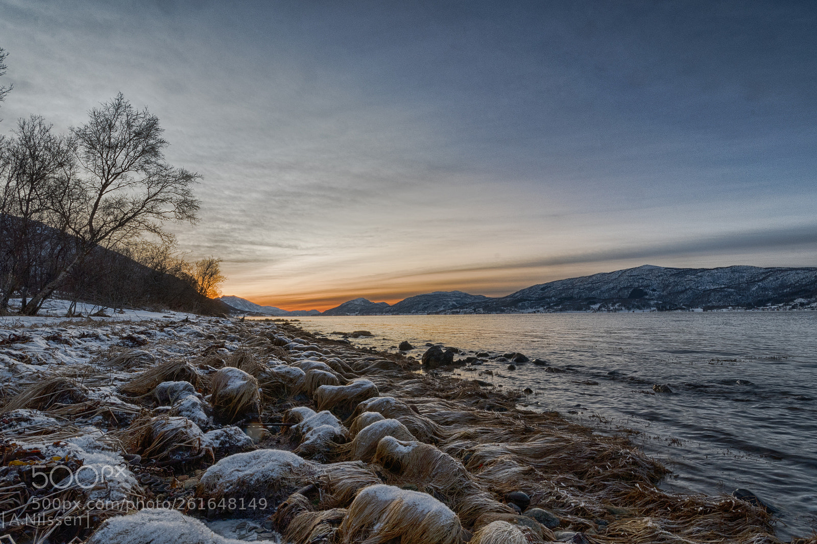 Nikon D500 sample photo. Winter photography