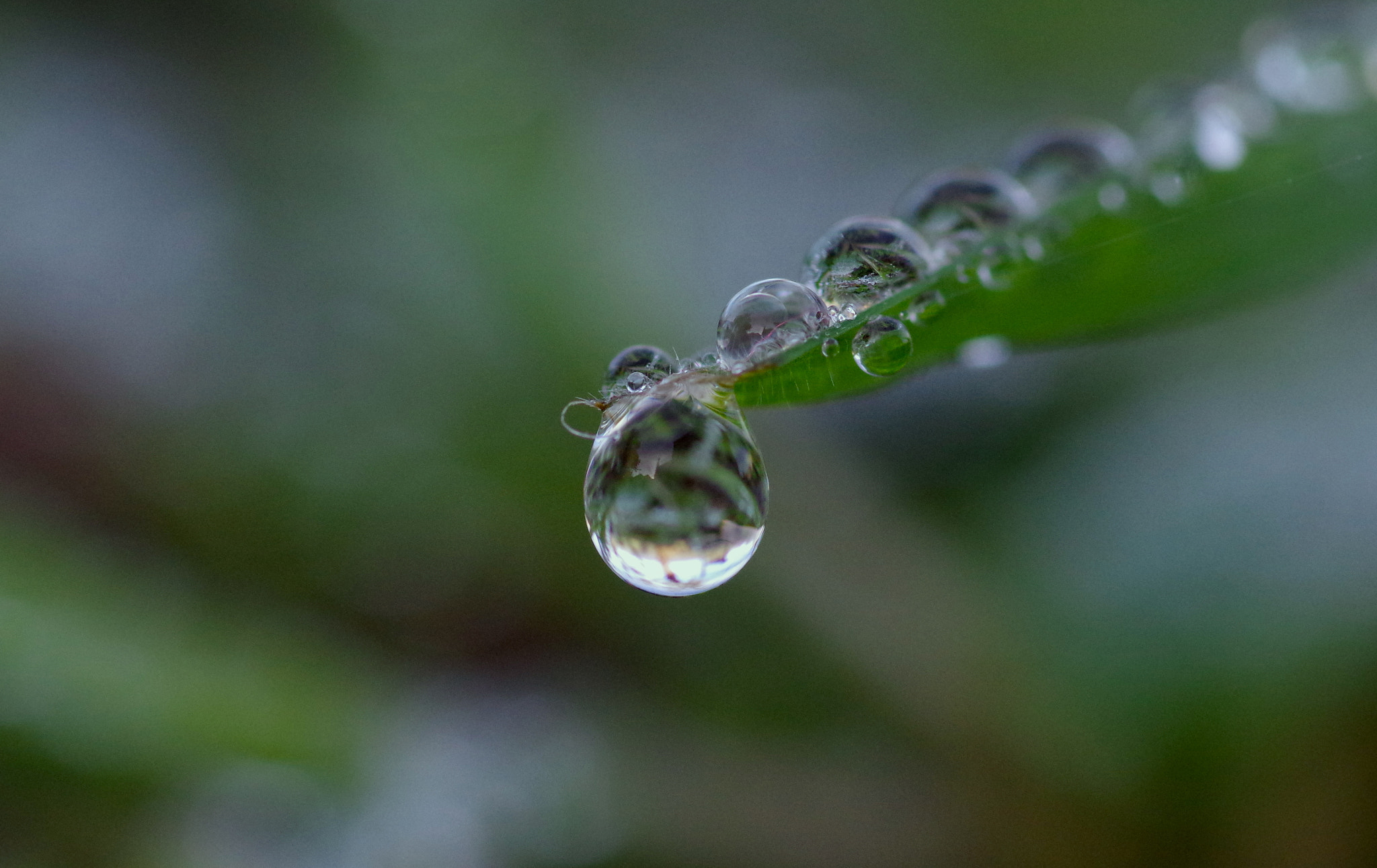 Pentax K-3 II sample photo. Drop photography