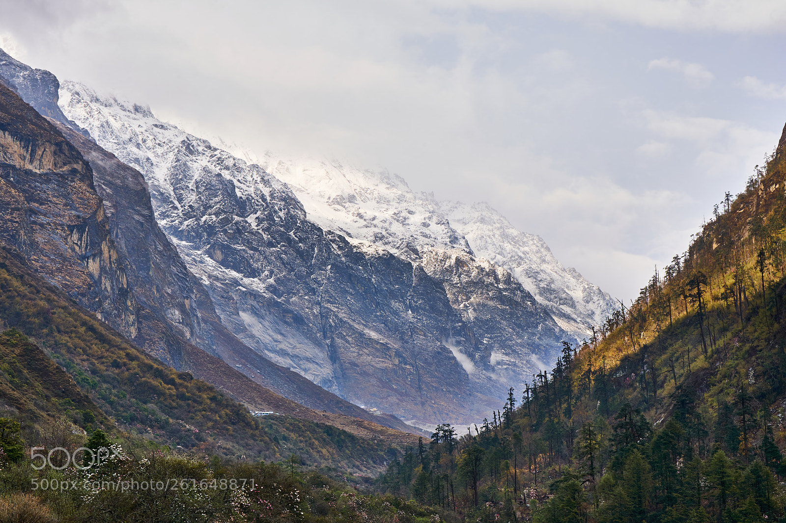 Sony a6300 sample photo. Langtang valley himalayas nepal photography