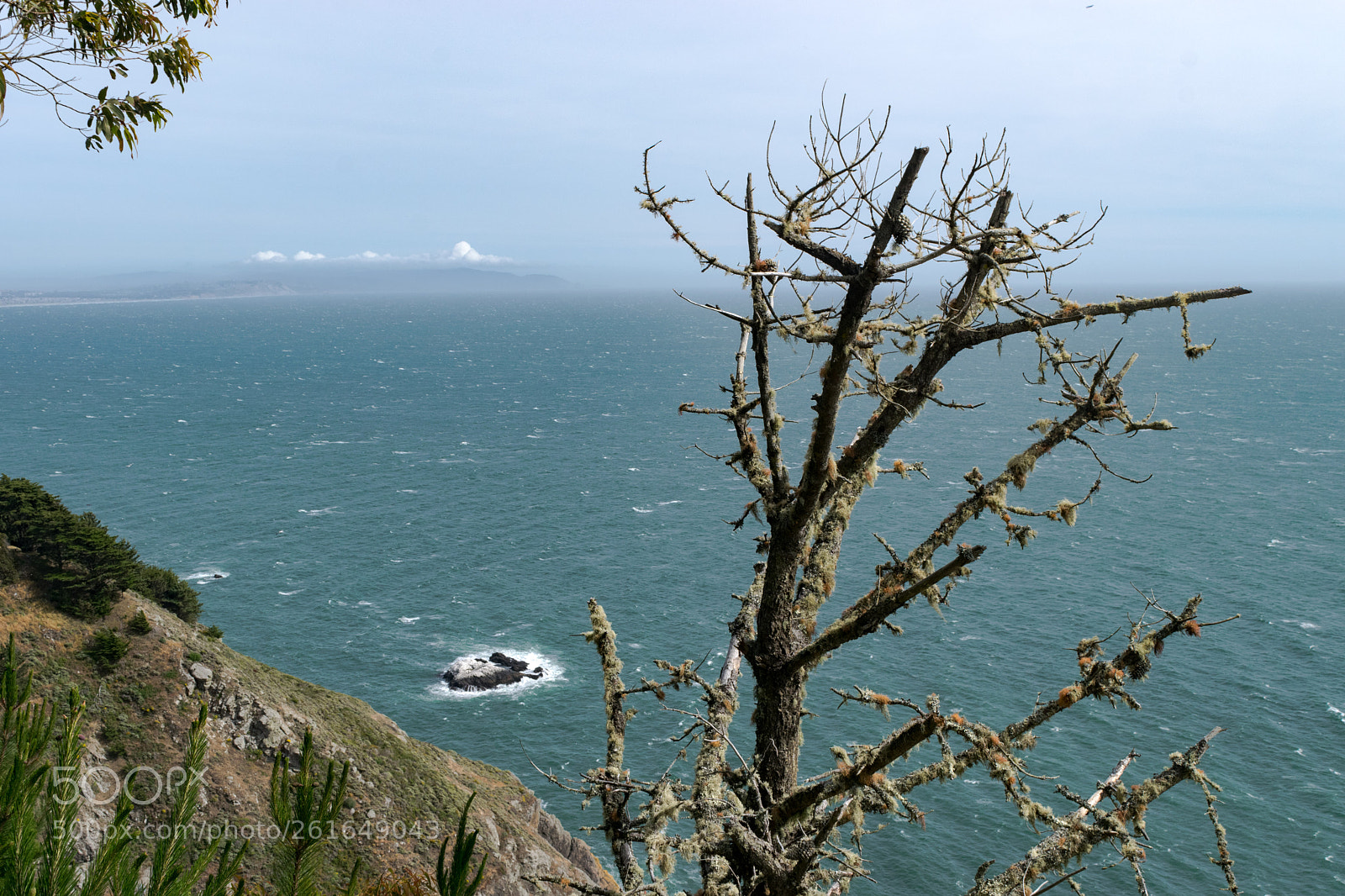 Nikon D3300 sample photo. Muir beach overlook photography