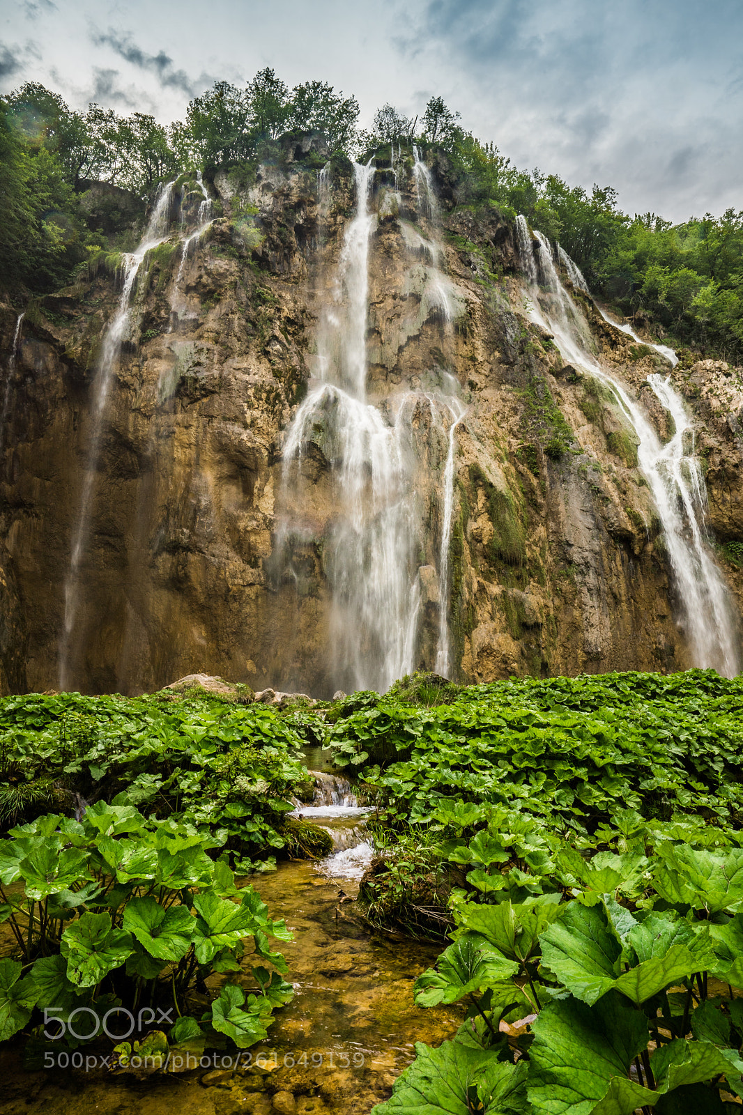Sony a7 II sample photo. Look up and admire photography