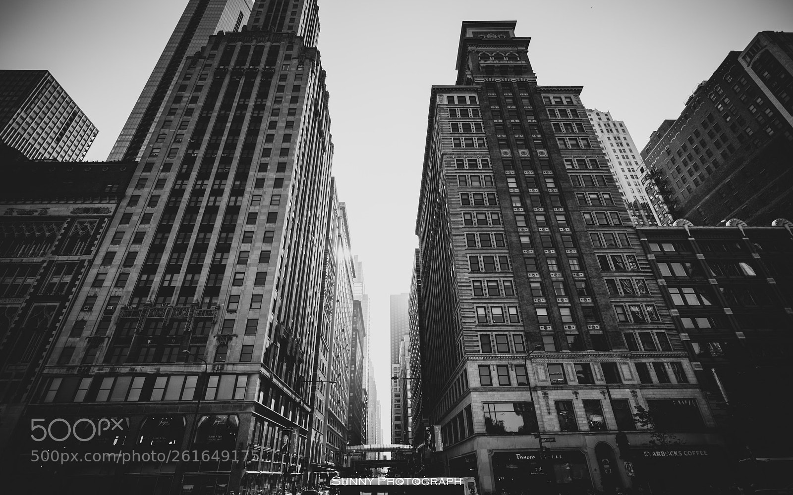 Nikon D7100 sample photo. Untitled photography