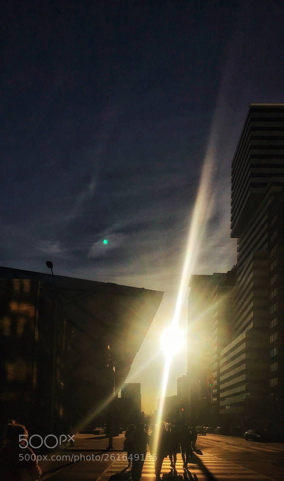Apple iPhone 7 Plus sample photo. Untitled photography
