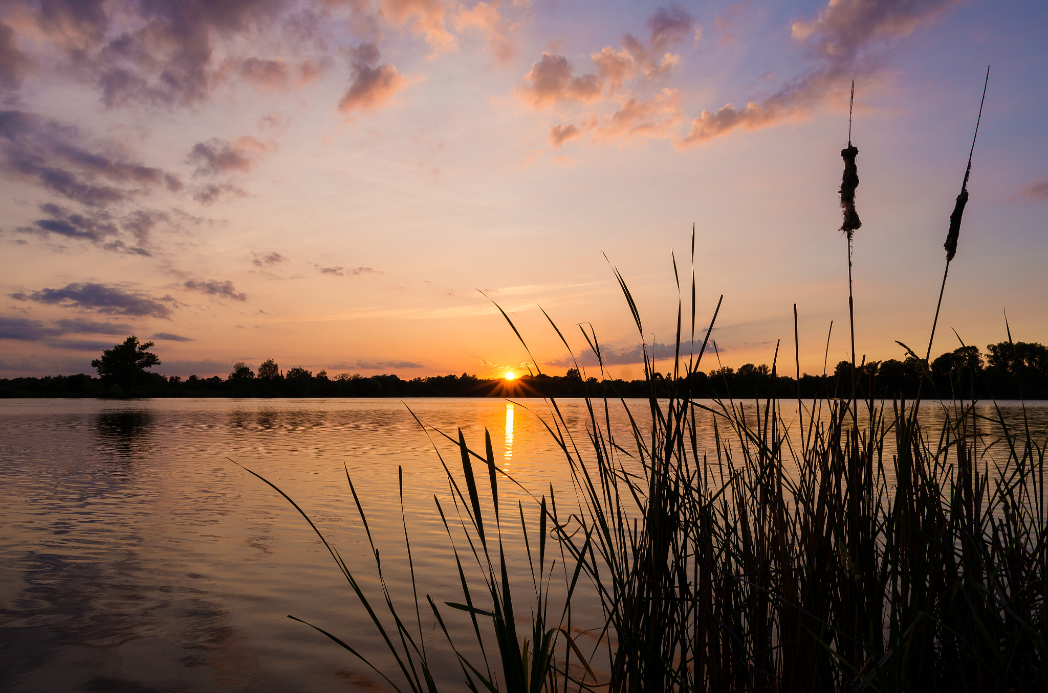 Pentax K-5 IIs sample photo. Summer evening photography