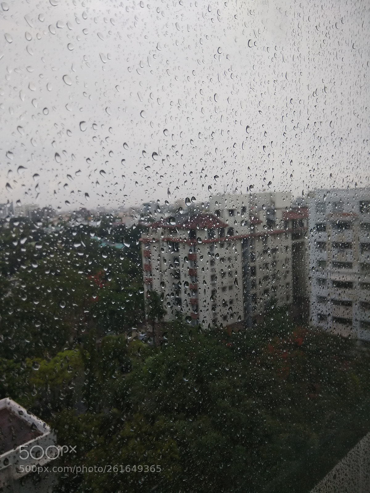 Xiaomi Redmi Note 4 sample photo. Untitled photography